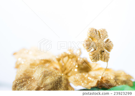 gold snowflake with golden bokeh 23923299