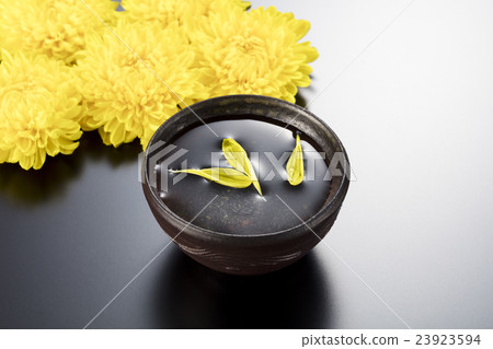 Kikuzu Kikuzu 23923594