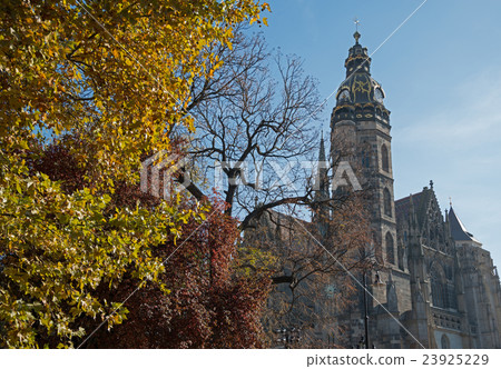 Saint Elisabeth Cathedral and autumn trees  23925229