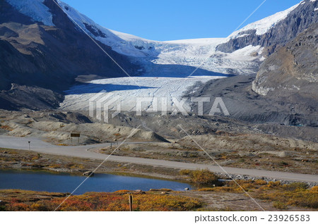 Columbia Icefield stained with autumn leaves 23926583