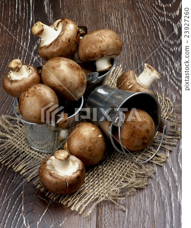 Portabello Mushroom 23927260