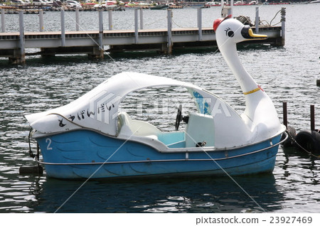 Swan Boat Swan Boat 23927469