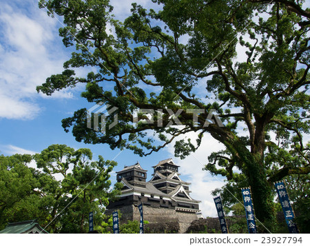 Taiki和熊本城堡 Taiki和熊本城堡 23927794