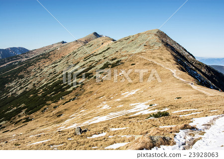 Footpath leading up the peak Chopok, Low Tatras 23928063