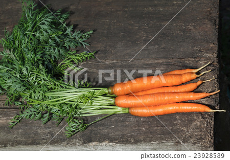 Fresh carrot bunch 23928589