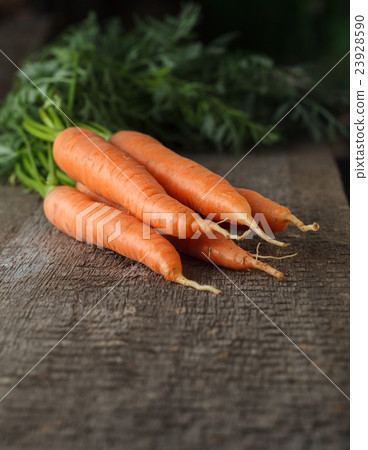 Organic ripe carrot Organic ripe carrot 23928590