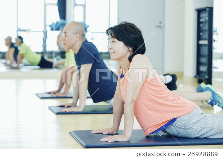 Senior Sports Gym Senior Sports Gym 23928889