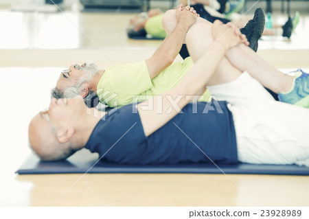 Senior Sports Gym 23928989