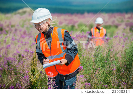 Researching recultivated field 23930214