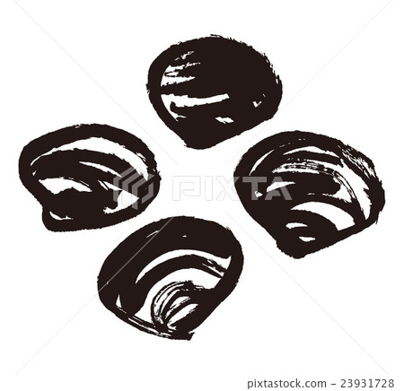 貝類 貝類 23931728