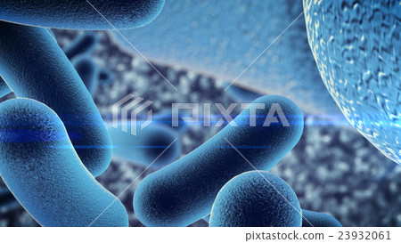 Bacterial infection. 23932061