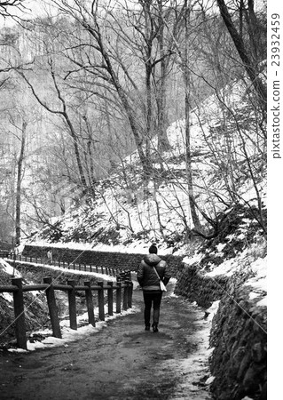 Shiraito Falls Karuizawa,Japan Shiraito Falls Karuizawa,Japan 23932459