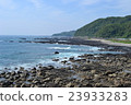 coast 23933283