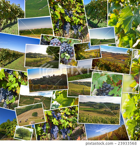 Collage of photos of Astigiano, Piedmont, Italy. Collage of photos of Astigiano, Piedmont, Italy. 23933568