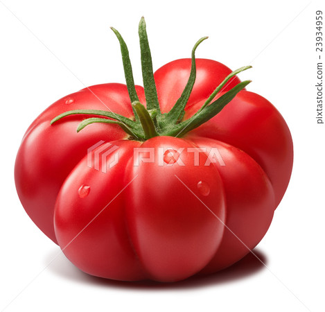 Ribbed heirloom tomato with sepal, paths 23934959