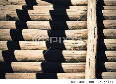 shadow on the wall with peeled the trunks 23936135