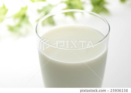 milk  23936138