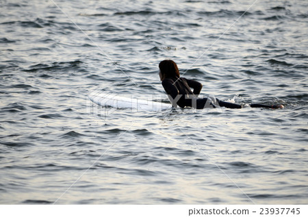 surfer surfer 23937745