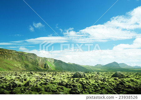 volcanic mossy landscape, Iceland 23938526