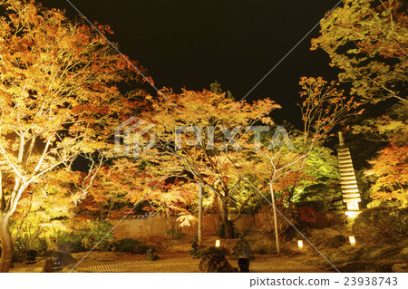 日元參觀明亮生動的深秋一個美麗的石頭花園,充滿活力的秋葉從燈光中湧現出來 日元參觀明亮生動的深秋一個美麗的石頭花園,充滿活力的秋葉從燈光中湧現出來 23938743