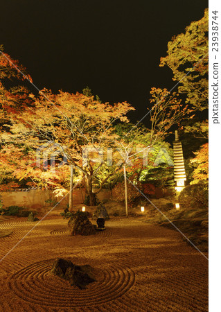 Yen Visit the bright late autumn A rich colorful autumn leaves emerge in the light up Beautiful stone garden Vertical composition 23938744