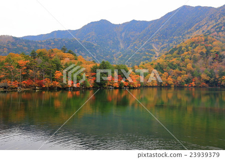 日光_秋葉 23939379