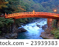Nikko _ autumn leaves 23939383