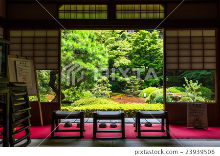 Kyoto Undersea Otanoyo Kyoto Undersea Otanoyo 23939508