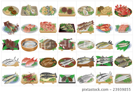Seafood Various Frames 23939855