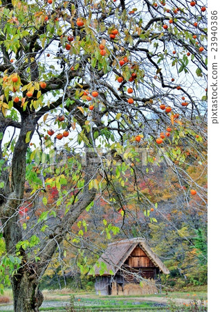 Shirakawago在深秋 23940386