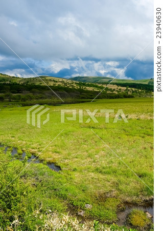 Hachijigahara Marsh (136) 23940630