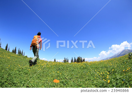 backpacker hiking on beautiful mountain peak trail backpacker hiking on beautiful mountain peak trail 23940866