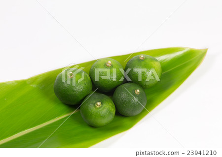 扁實檸檬 扁實檸檬 23941210