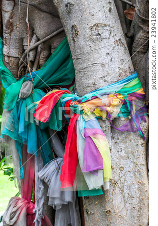 three color of the clothes tie up the tree 23941802