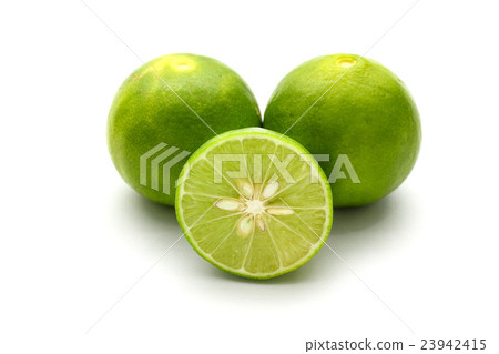 close up slice of fresh lime isolated on white close up slice of fresh lime isolated on white 23942415