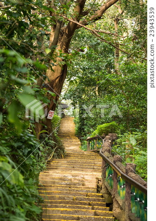 Yuanshan Morning Trails Yuanshan Morning Trails 23943539