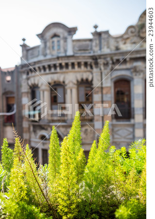 Private mansion tour Private mansion tour 23944603