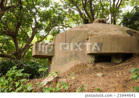 Yuanshan Morning Trails Yuanshan Morning Trails 23944641