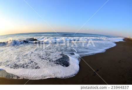 魚眼鏡頭 魚的眼睛 海岸 23944837