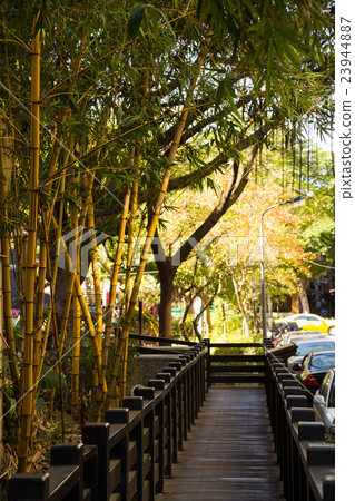 Fumin ecological park Fumin ecological park 23944887