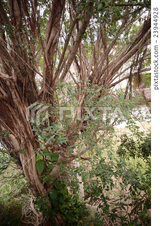 Shilin District Taipei city Taiwan 23944928