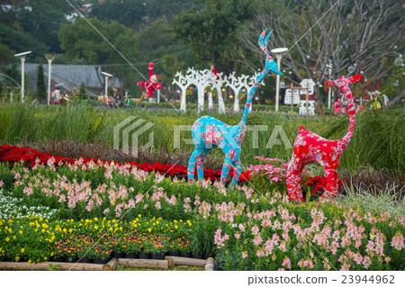 Yuanshan flower expo park Yuanshan flower expo park 23944962