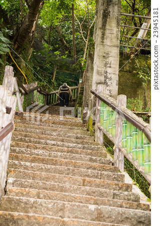 Yuanshan Morning Trails Yuanshan Morning Trails 23945181