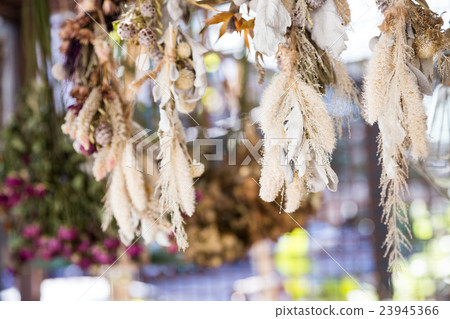 Fujin tree coffee shop Fujin tree coffee shop 23945366