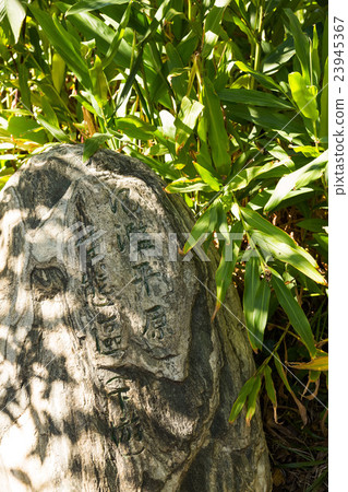 Fumin ecological park 23945367