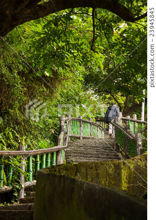 Yuanshan Morning Trails Yuanshan Morning Trails 23945845