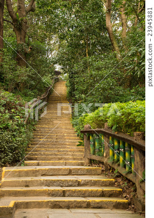 Yuanshan Morning Trails Yuanshan Morning Trails 23945881