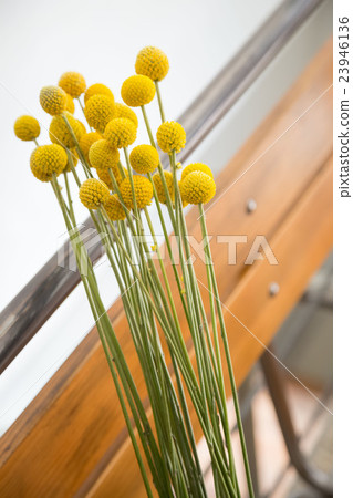 Fujin tree coffee shop Fujin tree coffee shop 23946136