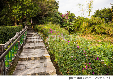Yuanshan Morning Trails Yuanshan Morning Trails 23946931