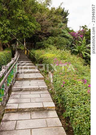 Yuanshan Morning Trails Yuanshan Morning Trails 23946957